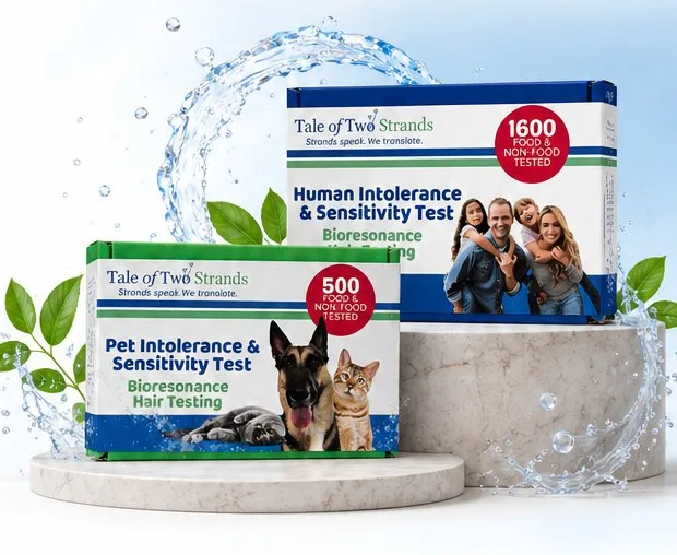 Tale of Two Strands human and pet intolerance test kit boxes on stone plinths, surrounded by a splash of water.