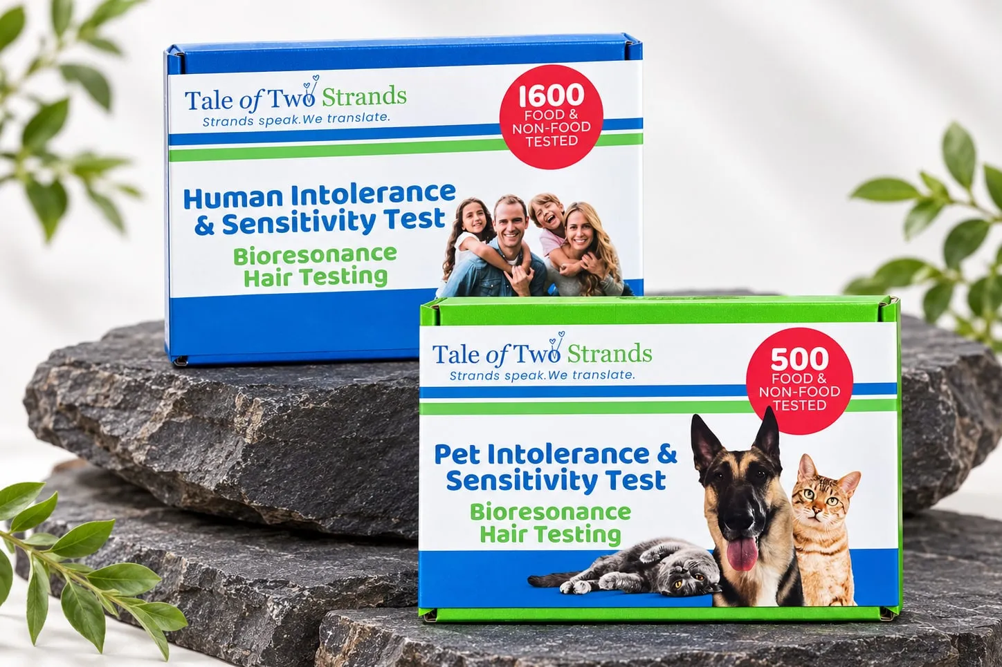 The Tale of Two Strands human and pet intolerance test kit boxes stacked on dark stone slabs, with sprigs of green leaves against a pale background.